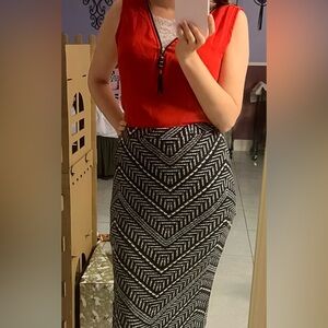 Pencil Skirt Striped